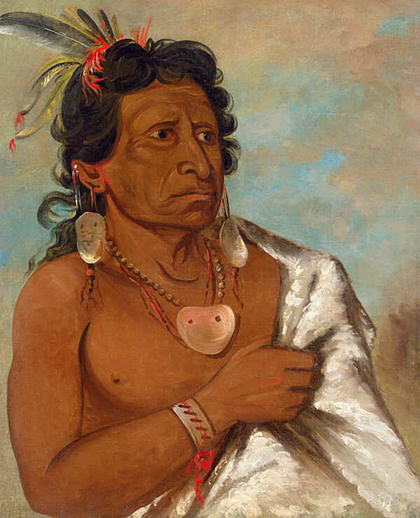 U’sh ee kitz, He Who Fights with a Feather, Chief of the Tribe by George Catlin, hand-painted oil reproduction