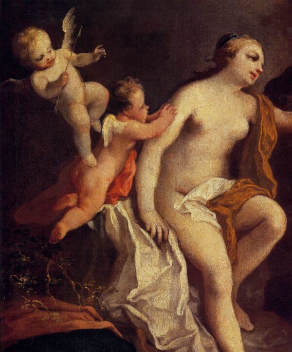 Venus and Adonis (detail) by Jacopo Amigoni, hand-painted oil painting reproduction