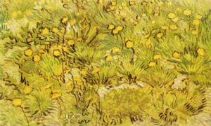 A Field of Yellow Flowers by Vincent van Gogh