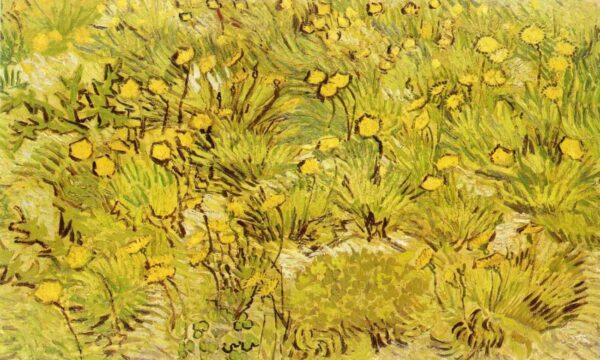 A Field of Yellow Flowers by Vincent van Gogh, hand-painted oil painting reproduction