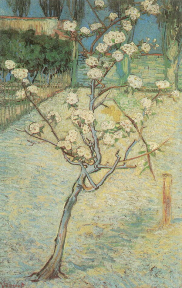 Almond Tree in Blossom by Vincent van Gogh, hand-painted oil painting reproduction