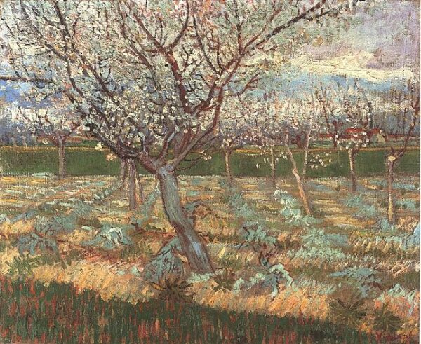 Apricot Trees in Blossom by Vincent van Gogh, hand-painted oil painting reproduction