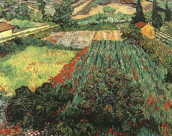 Field with Poppies by Vincent van Gogh, hand-painted oil painting reproduction