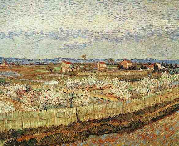 La Crau with Peach Trees in Blossom by Vincent van Gogh, hand-painted oil reproduction