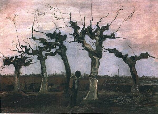 Landscape with Pollard Willows by Vincent van Gogh, hand-painted oil painting reproduction