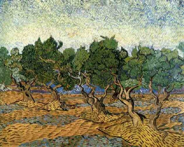 Olive Grove Bright Blue Sky by Vincent van Gogh, hand-painted oil painting reproduction