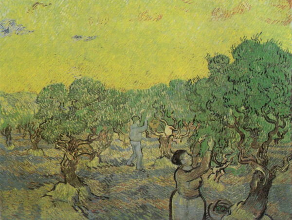 Olive Grove Pale Blue Sky by Vincent van Gogh, hand-painted oil painting reproduction