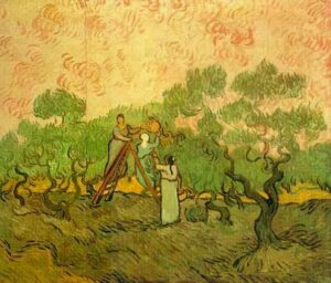 Olive Picking Red by Vincent van Gogh, hand-painted oil painting reproduction