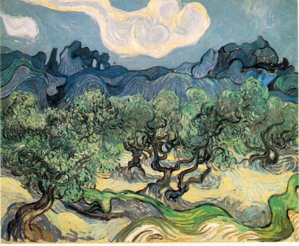 Olive Trees Bright Blue Sky by Vincent van Gogh, hand-painted oil painting reproduction