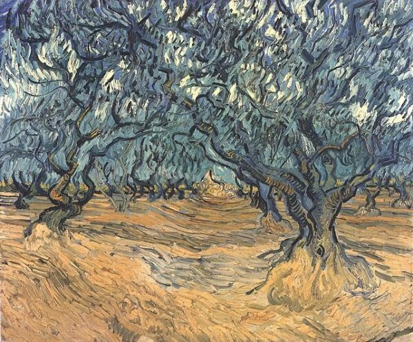 Olive Trees by Vincent van Gogh, hand-painted oil painting reproduction