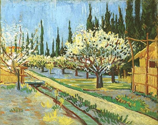 Orchard in Blossom Bordered by Cypresses by Vincent van Gogh, hand-painted oil painting reproduction