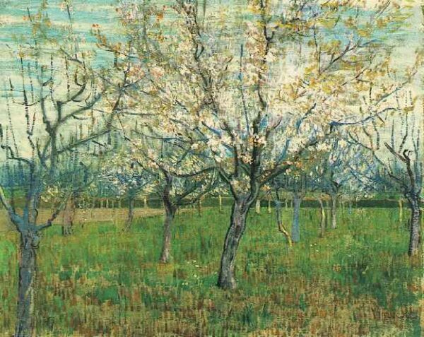 Orchard with Blossoming Apricot Trees by Vincent van Gogh, hand-painted oil painting reproduction