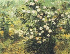Rosebush in Blossom by Vincent van Gogh, hand-painted oil painting reproduction