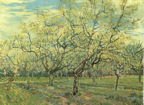 The White Orchard by Vincent van Gogh, hand-painted oil painting reproduction