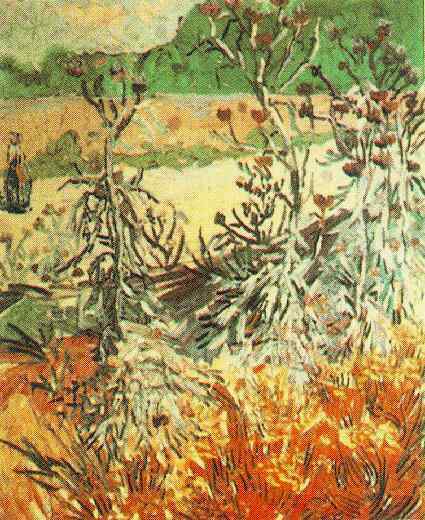 Thistles by Vincent van Gogh, hand-painted oil reproduction