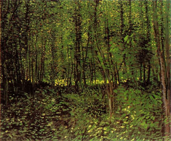 Trees and Undergrowth Dark by Vincent van Gogh, hand-painted oil painting reproduction