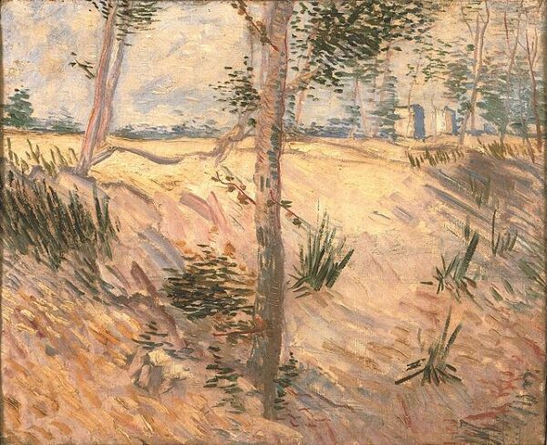 Trees in a Field on a Sunny Day by Vincent van Gogh, hand-painted oil painting reproduction