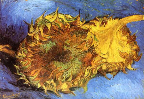 Two Cut Sunflowers Blue by Vincent van Gogh, hand-painted oil painting reproduction