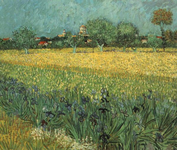 View of Arles with Irises in the Foreground by Vincent van Gogh, hand-painted oil painting reproduction
