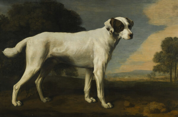 Viscount Gormanston’s White Dog by George Stubbs, hand-painted oil painting reproduction
