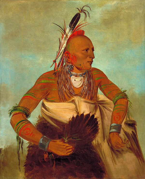 Wa ho beck ee, a Handsome Brave by George Catlin, hand-painted oil painting reproduction