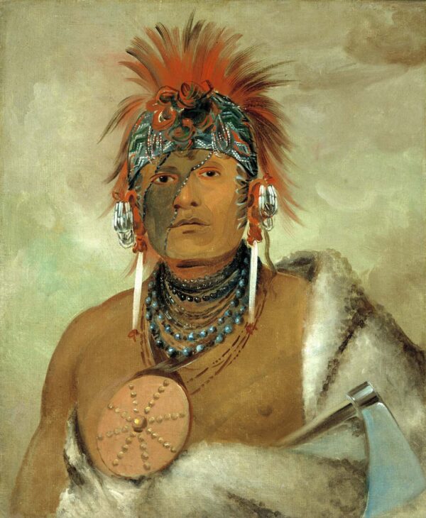 Wa hon ga shee, No Fool, a Great Fop by George Catlin, hand-painted oil painting reproduction
