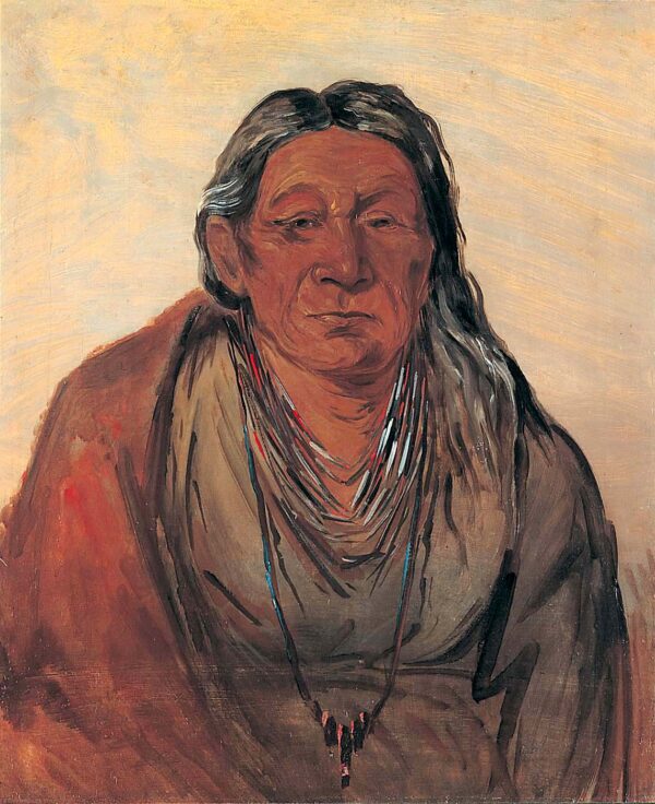 Wah pe seh see, Mother of the Chief by George Catlin, hand-painted oil painting reproduction
