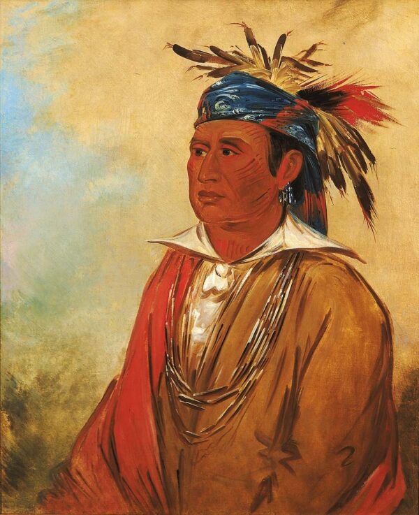 Wah pon jee a, The Swan, a Warrior by George Catlin, hand-painted oil painting reproduction