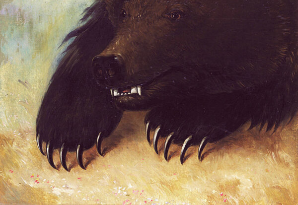 Weapons and Physiognomy of the Grizzly Bear by George Catlin, hand-painted oil painting reproduction