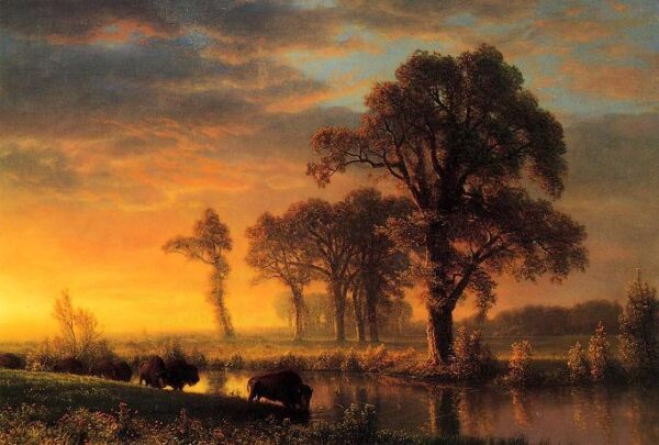 Western Kansas by Albert Bierstadt, hand-painted oil painting reproduction