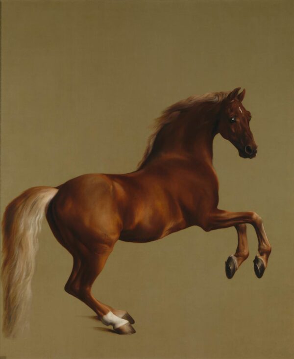 Whistlejacket by George Stubbs, hand-painted oil painting reproduction