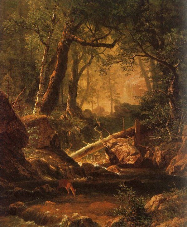White Mountains, New Hampshire by Albert Bierstadt, hand-painted oil painting reproduction