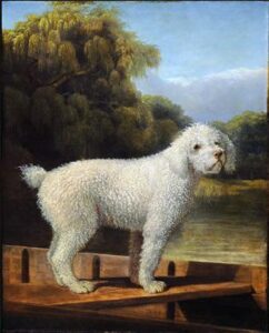 White Poodle in a Punt by George Stubbs, hand-painted oil painting reproduction