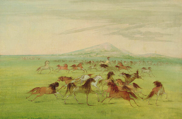Wild Horses at Play by George Catlin, hand-painted oil painting reproduction