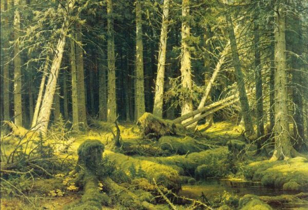 Windfall by Ivan Shishkin, hand-painted oil painting reproduction