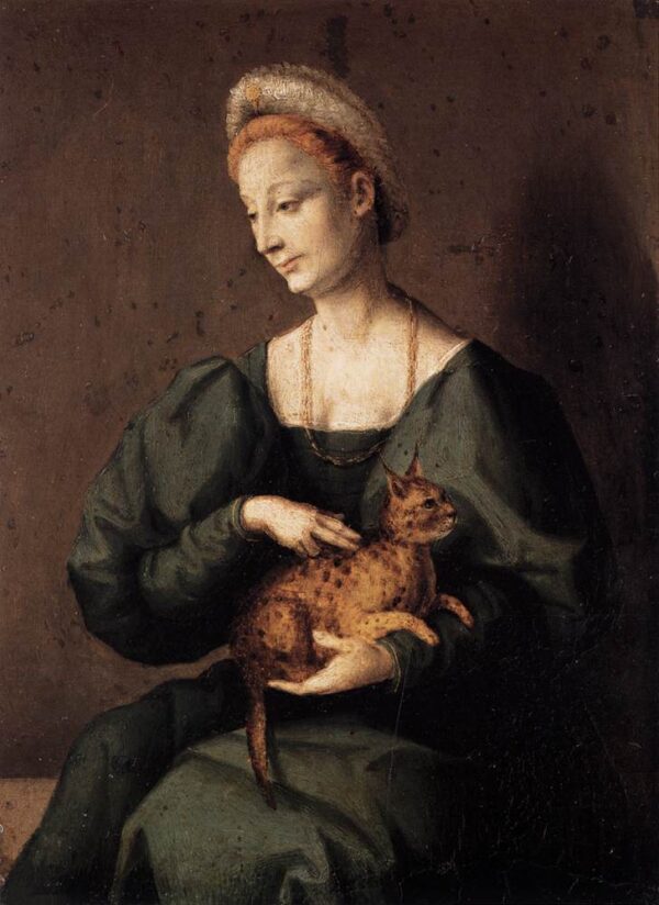 Woman with a Cat by Bacchiacca, hand-painted oil painting reproduction