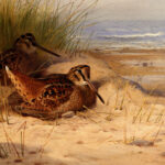 Archibald Thorburn
