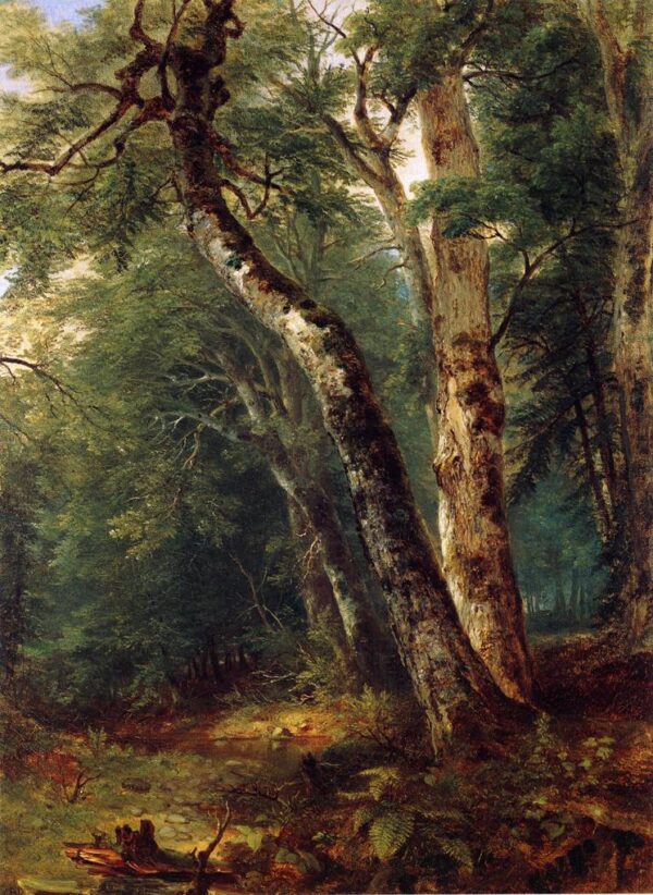 Woodland Interior by Asher B Durand, hand-painted oil painting reproduction