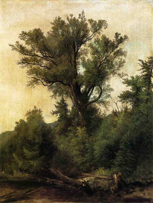 Woodland Stream by Asher B Durand, hand-painted oil painting reproduction