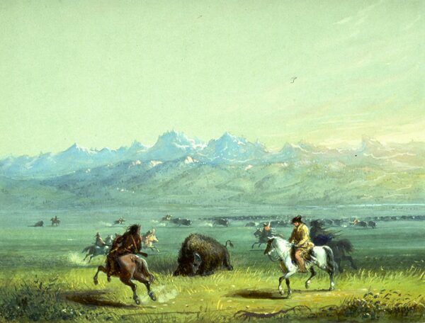 Wounded Buffalo by Alfred Jacob Miller, hand-painted oil painting reproduction