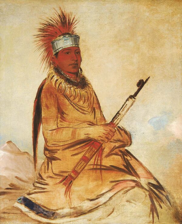 W’y ee yogh, Man of Sense, a Brave by George Catlin, hand-painted oil painting reproduction
