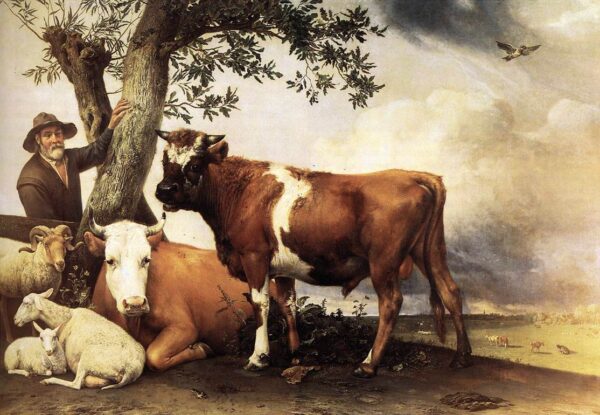 Young Bull by Paulus Potter, hand-painted oil painting reproduction