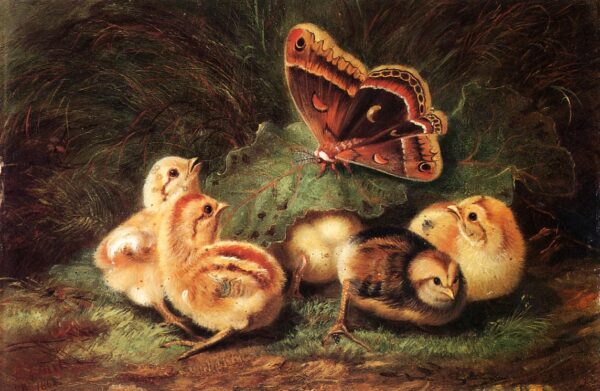 Young Chickens by Arthur Fitzwilliam Tait, hand-painted oil painting reproduction