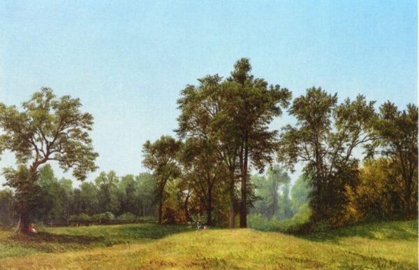 Young Elms by David Johnson, hand-painted oil painting reproduction