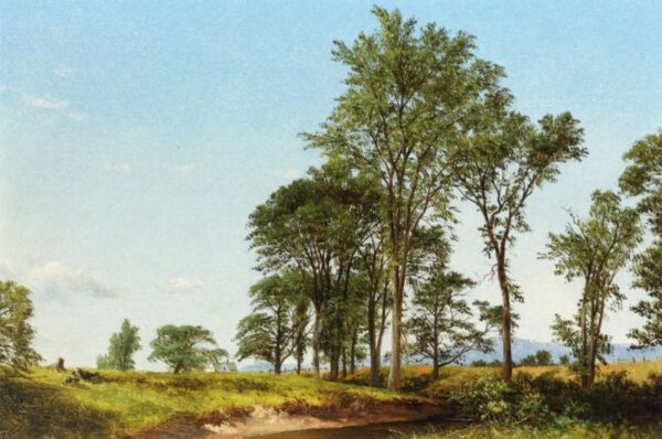 Young Elms II by David Johnson, hand-painted oil painting reproduction