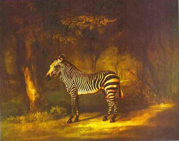 Zebra by George Stubbs, hand-painted oil reproduction