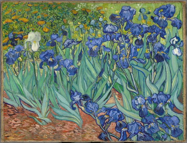 Irises by Vincent van Gogh, hand-painted oil painting reproduction