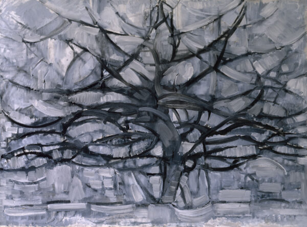 The Gray Tree