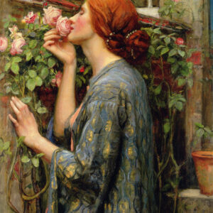 The Soul of the Rose
