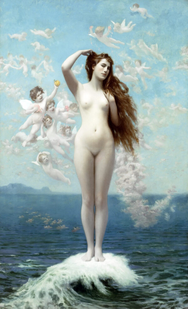 Venus Rising (The Star)